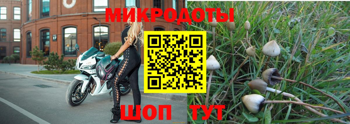 Псилоцибиновые грибы Magic Shrooms Магнитогорск