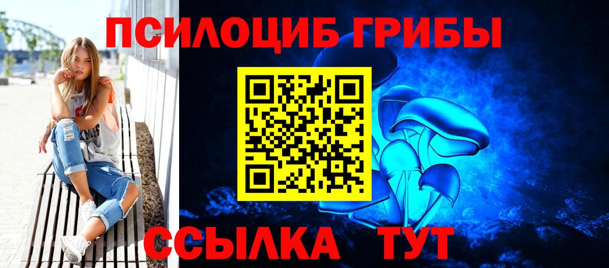 Магнитогорск  сколько стоит  Вход с VPN  Псилоцибиновые грибы Psilocybe 