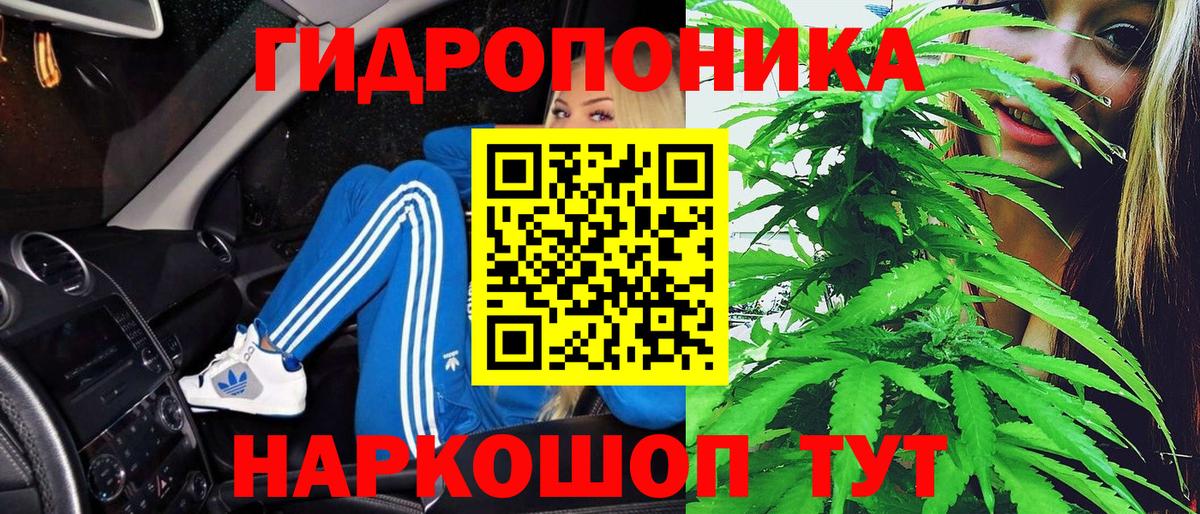 Каннабис OG Kush Магнитогорск